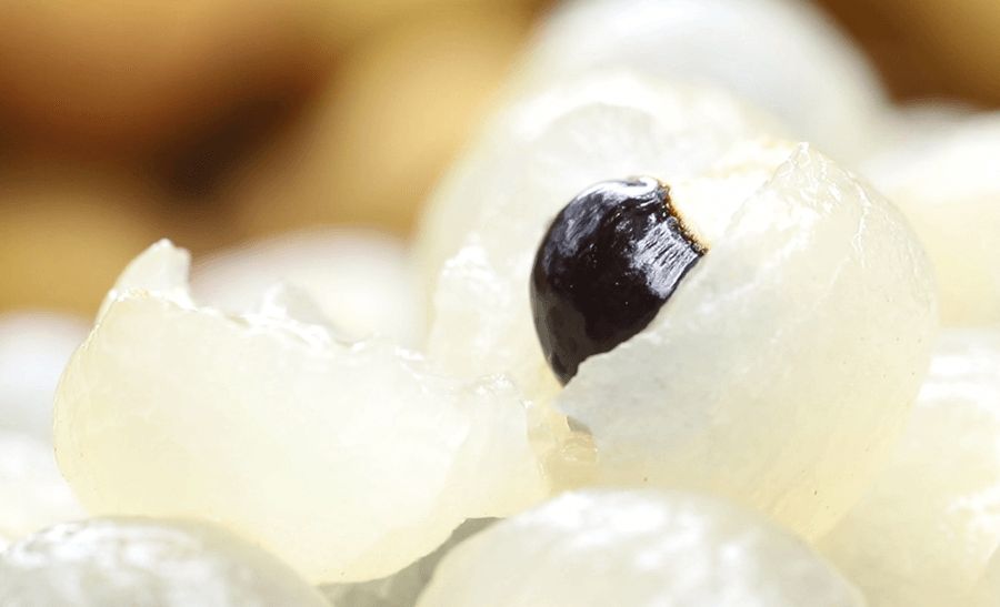 ▲中國華南農業大學育成世界首個龍眼與荔枝雜交的新品種水果「脆蜜」。（圖取自華南農業大學微信公眾號網頁）