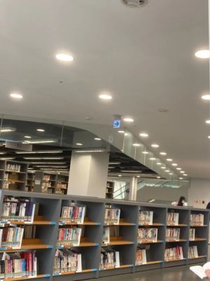 圖書館天花板上的玻璃看似無用,但在火災時大有益處。(圖/截自Dcard) ▲圖書館天花板上的玻璃看似無用,但在火災時大有益處。(圖/截自Dcard)