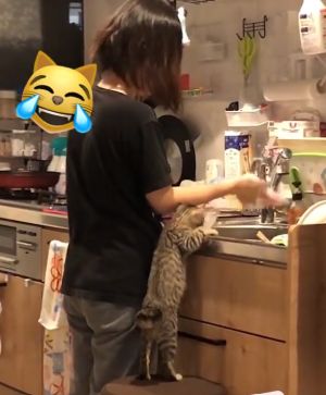 Miya:媽媽你在做什麼?為什麼要摸它?摸我不是更好嗎?(圖/Instagram:non62326) ▲Miya:媽媽你在做什麼?為什麼要摸它?摸我不是更好嗎?(圖/Instagram:non62326)