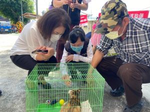 ▲「全嘉總動員~犬貓狂犬病預防注射與動保宣導活動」，保護家中毛小孩健康（圖／嘉義縣政府提供）