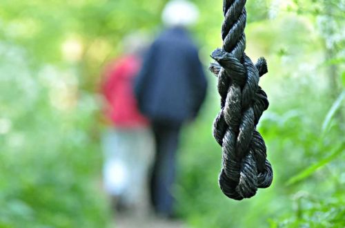 外媒揭秘伊朗處決機器！ 用起重機「工業化」執行絞刑
