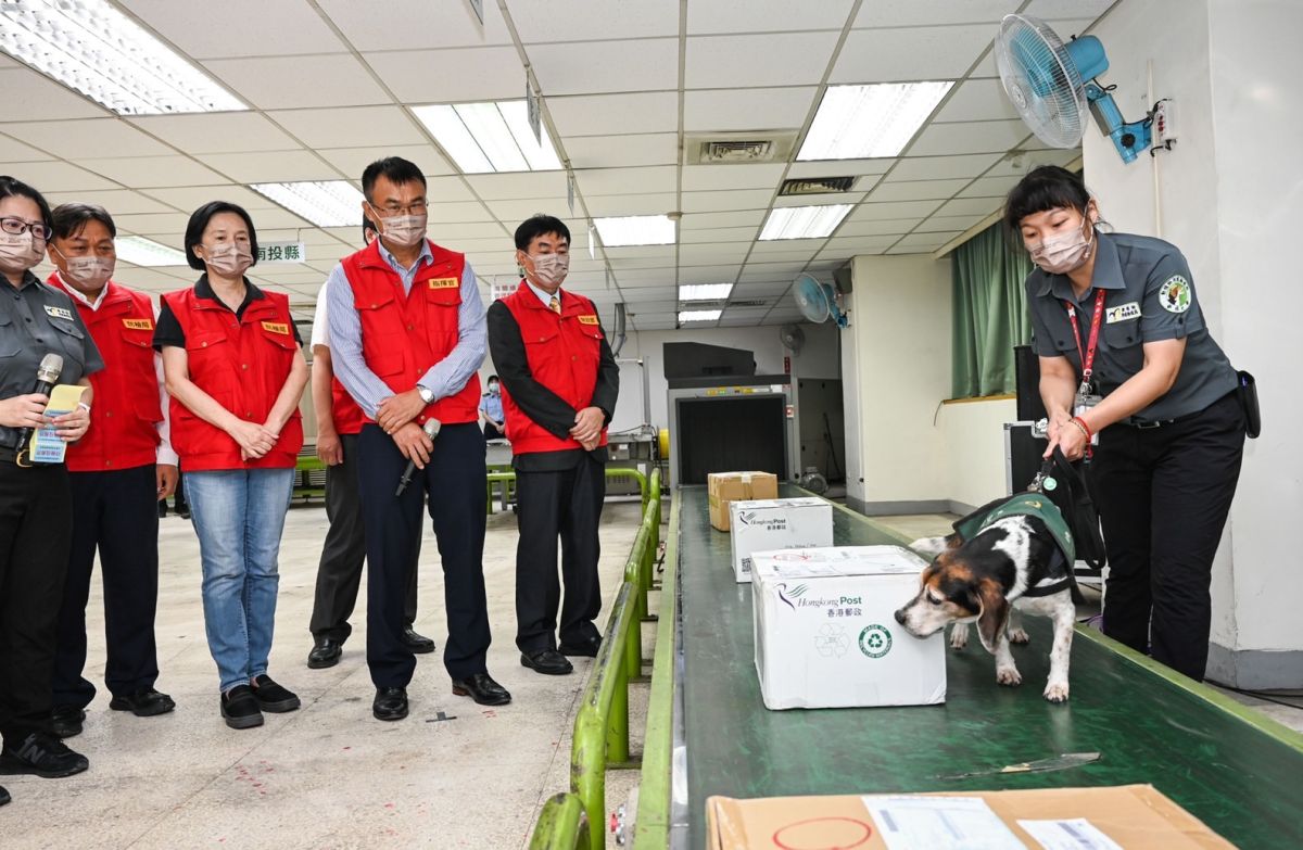 ▲非洲豬瘟中央災害應變中心指揮官陳吉仲今（2）日視察台中郵局中秋節國際郵包檢查作業，呼籲全民共同配合防疫。（圖／防檢局提供）