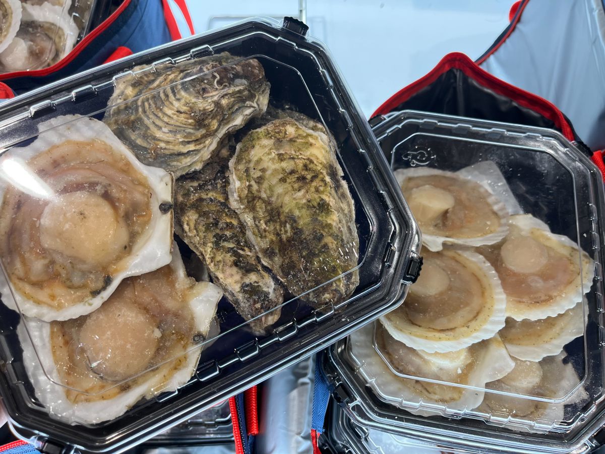 ▲「貝類燒烤組」內含生蠔16顆以及12顆扇貝，9/11前優惠價1799元。（圖／記者鍾怡婷攝）