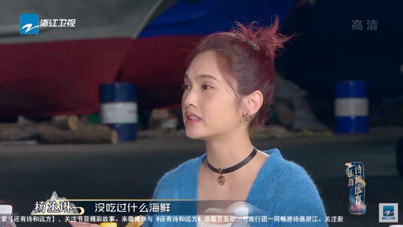 ▲楊丞琳在中國綜藝節目上說「我在台灣沒吃過什麼海鮮，早年家裡的經濟壓力也挺大的，其實吃海鮮是奢侈的在那（台灣）」。（圖／翻攝自YouTube《中國浙江衛視官方頻道》）