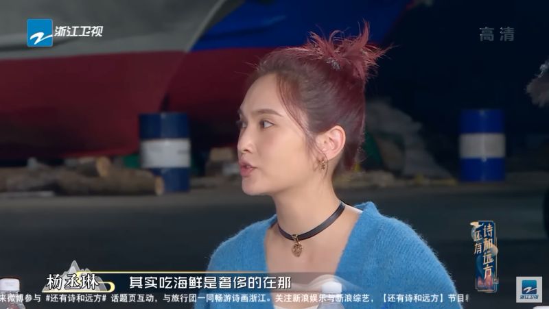 ▲楊丞琳在中國節目上說「其實吃海鮮是奢侈的在那」，引發台灣人不滿。（圖／翻攝自YouTube《中國浙江衛視官方頻道》）