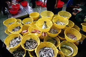 ▲陳其邁貼出梓官蚵仔寮的新鮮魚產，還是全國第一個獲得HACCP認證的魚市場。（圖／翻攝自陳其邁臉書）