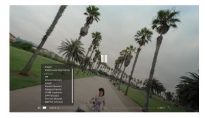 蘋果官網、YouTube都有多語言字幕支援。(圖/翻攝官網) ▲蘋果官網、YouTube都有多語言字幕支援。(圖/翻攝官網)