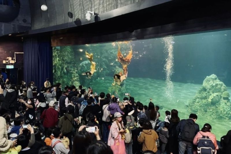 ▲遠雄海洋公園人魚公主秀將於9月12日起暫停演出，讓不少遊客感到可惜。（圖/小璐提供）