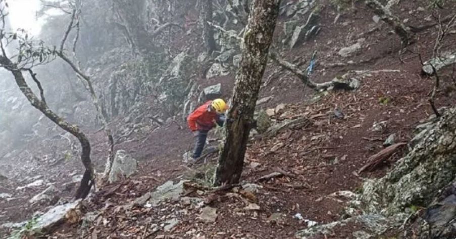 ▲警消獲報後，立刻出動大批人力前搜索，並在當天下午於下切河谷40公尺處發現陳伯均的2支登山杖。（圖／翻攝畫面）