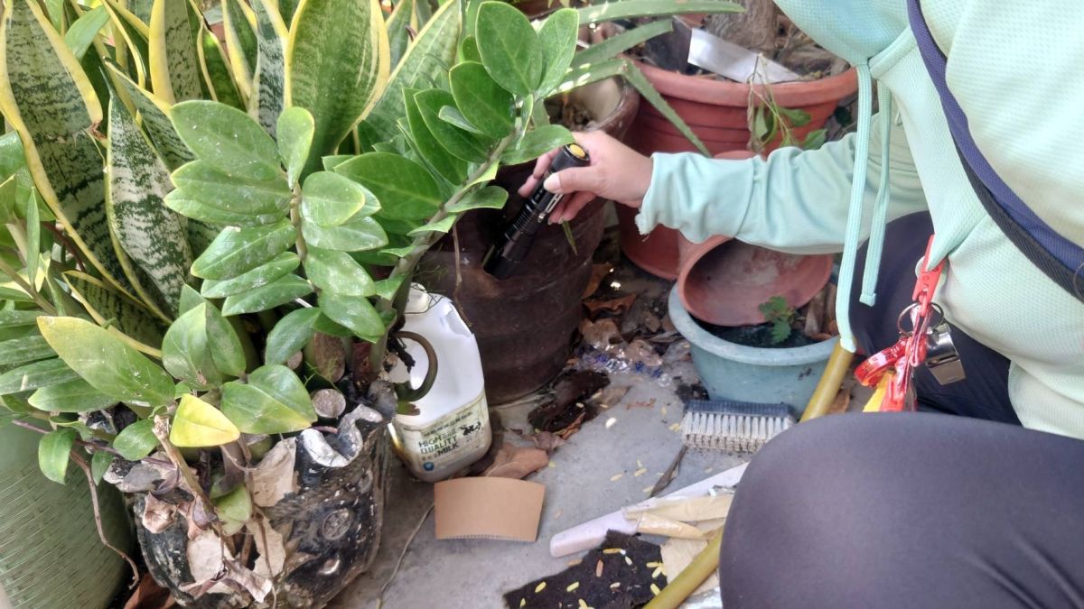 ▲高雄市登革熱防治工作（圖／翻攝自雄健康－高雄市政府衛生局）