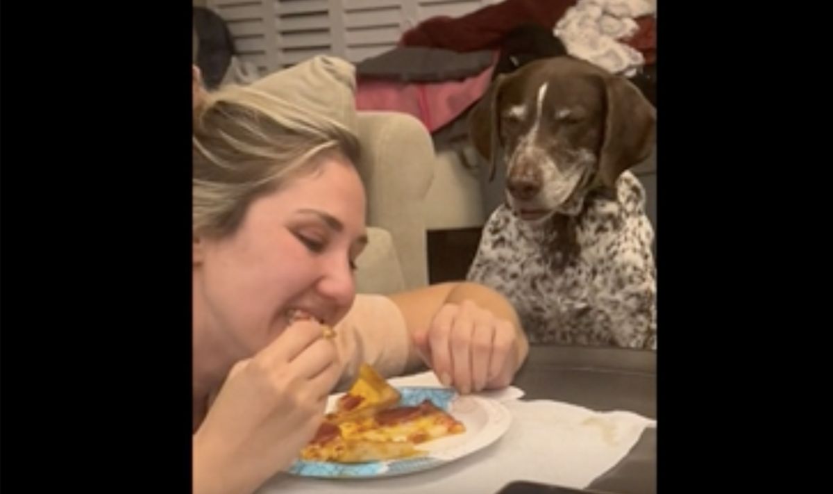 ▲狗狗看著主人大口咬著披薩，還不願意與牠分享，忍不住氣到嘴邊肉狂抖。（圖／美聯社／nflr078231）
