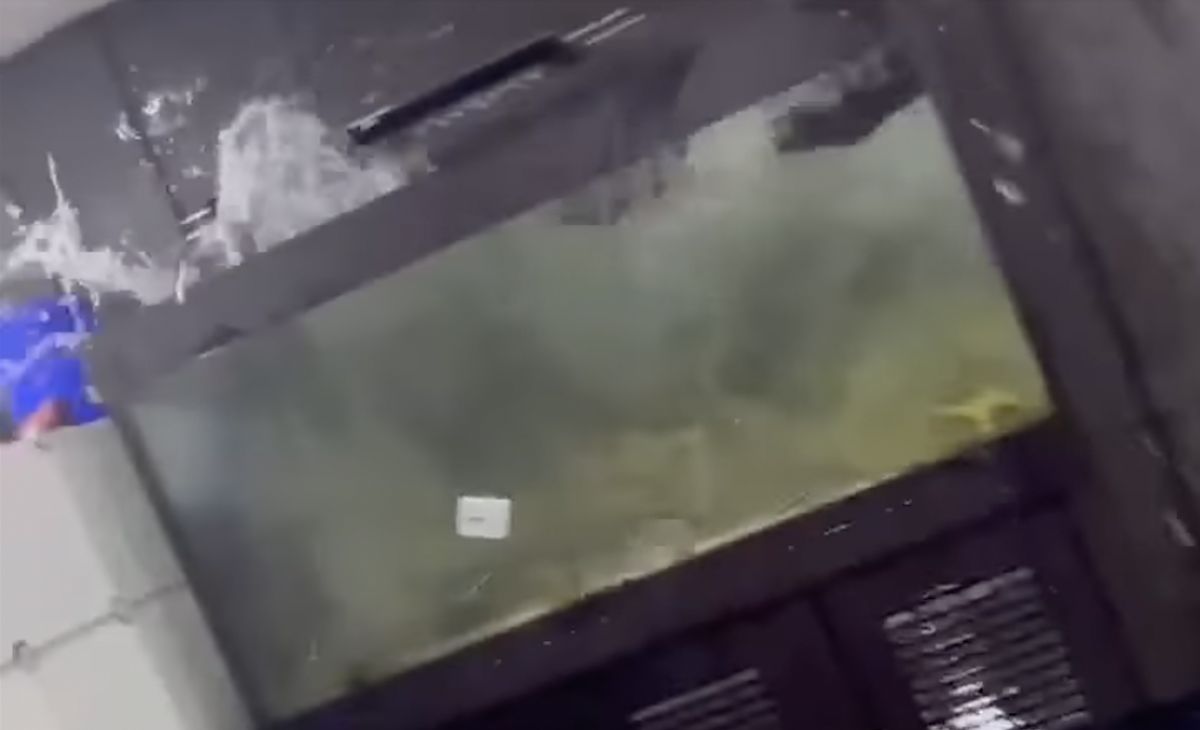 ▲大魚缸隨著高樓搖晃不斷灑出水來，而背景還伴隨著住戶的哭喊聲。（圖／翻攝自爆廢公社公開版）
