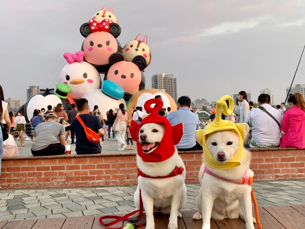 ▲「米奇與好朋友CHILL遊台南」展區內米奇、米妮、唐老鴨、黛西、高飛、布魯托、奇奇與蒂蒂藏身各處，超萌打卡景點讓大票民眾慕名前往，截至南市觀旅局昨（19）日統計，活動才開幕10天就吸客超過30萬人。（圖／台南市觀光旅遊局提供）