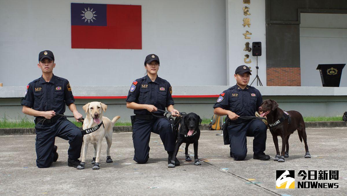 ▲憲指部緝毒犬。（圖／記者呂炯昌，2022.09.20）