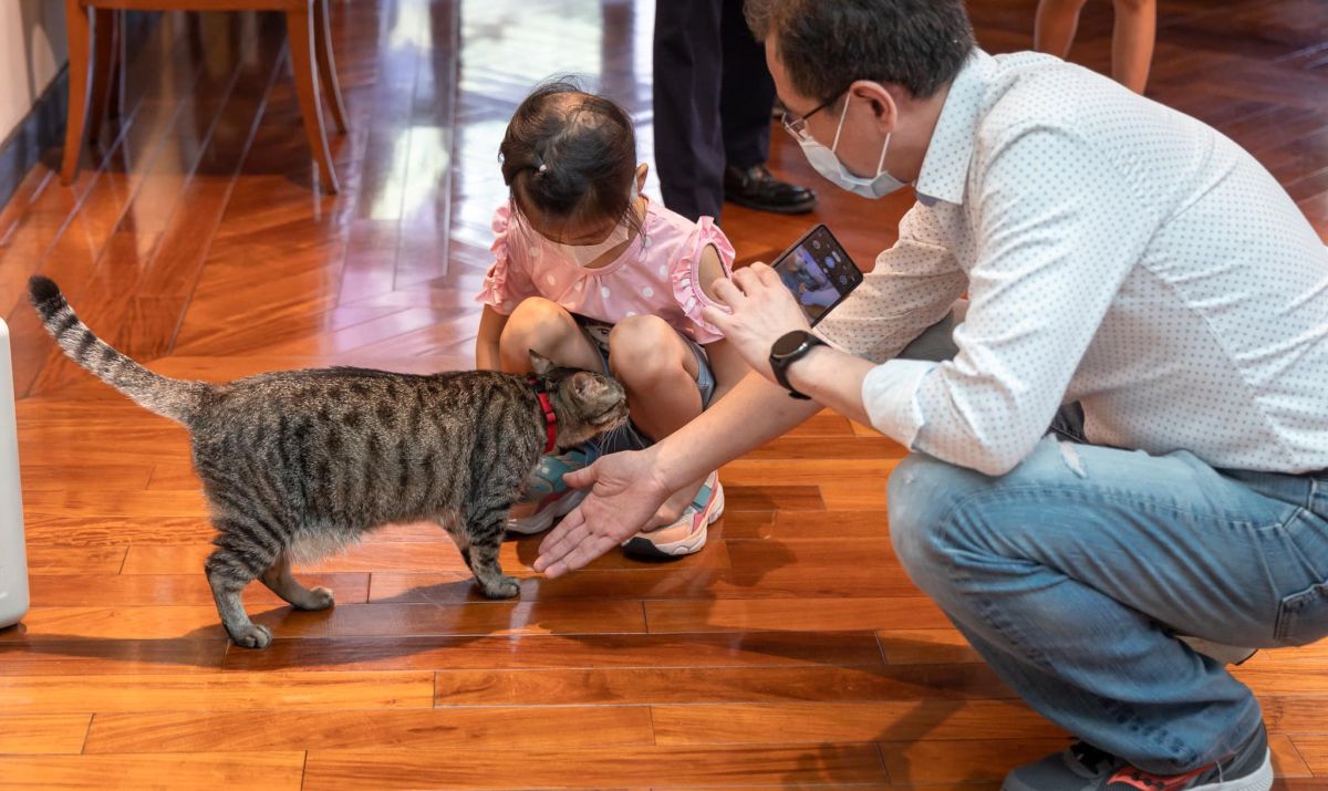 ▲鄭運鵬6月時曾與潘盈希等人一同赴總統官邸，與蔡英文的愛貓蔡想想同樂。（圖／翻攝自鄭運鵬臉書）