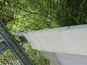 ▲雞舍圍欄、鐵網遭浪犬破壞侵入。(圖/翻攝《爆怨公社》) ▲雞舍圍欄、鐵網遭浪犬破壞侵入。(圖/翻攝《爆怨公社》)