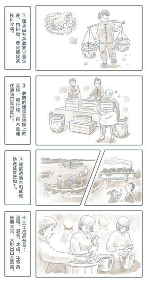 蛋品工業運作流程 ▲蛋品工業運作流程