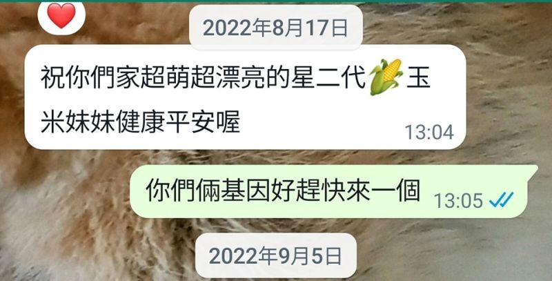▲黃子佼被吳姍儒已讀不回。（圖／黃子佼臉書）
