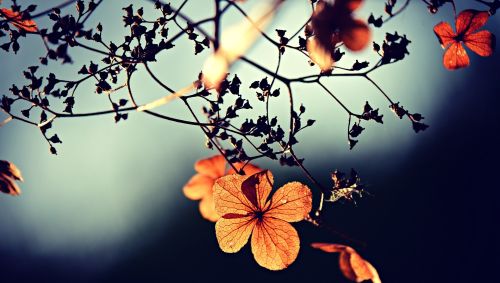 2025秋分節氣來了！「飲食進補吃什麼、禁忌開運、習俗」一文速懂
