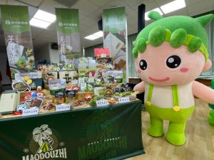 新市毛豆節的代言人–毛豆寶寶,與毛豆新品一同亮相 ▲新市毛豆節的代言人–毛豆寶寶,與毛豆新品一同亮相(圖/記者林怡孜攝,2022,09,23)
