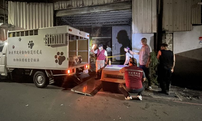 ▲新莊思源路一間工廠昨（24）晚發生火警，消防局協助救援廠內50多隻博美狗，由於沒有生命危險，暫時放置工廠3樓；今天動保處重返時，發現犬隻數量不符，該名飼主坦承，連夜把狗送到苗栗。（圖／翻攝畫面）
