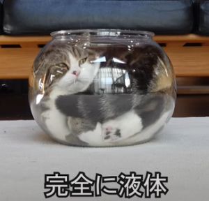 丸子順利完成液體化的過程。(圖/Youtube: mugumogu) ▲丸子順利完成液體化的過程。(圖/Youtube: mugumogu)