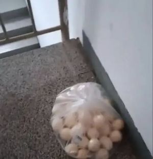 ▲(圖/翻攝自微博) ▲(圖/翻攝自微博)