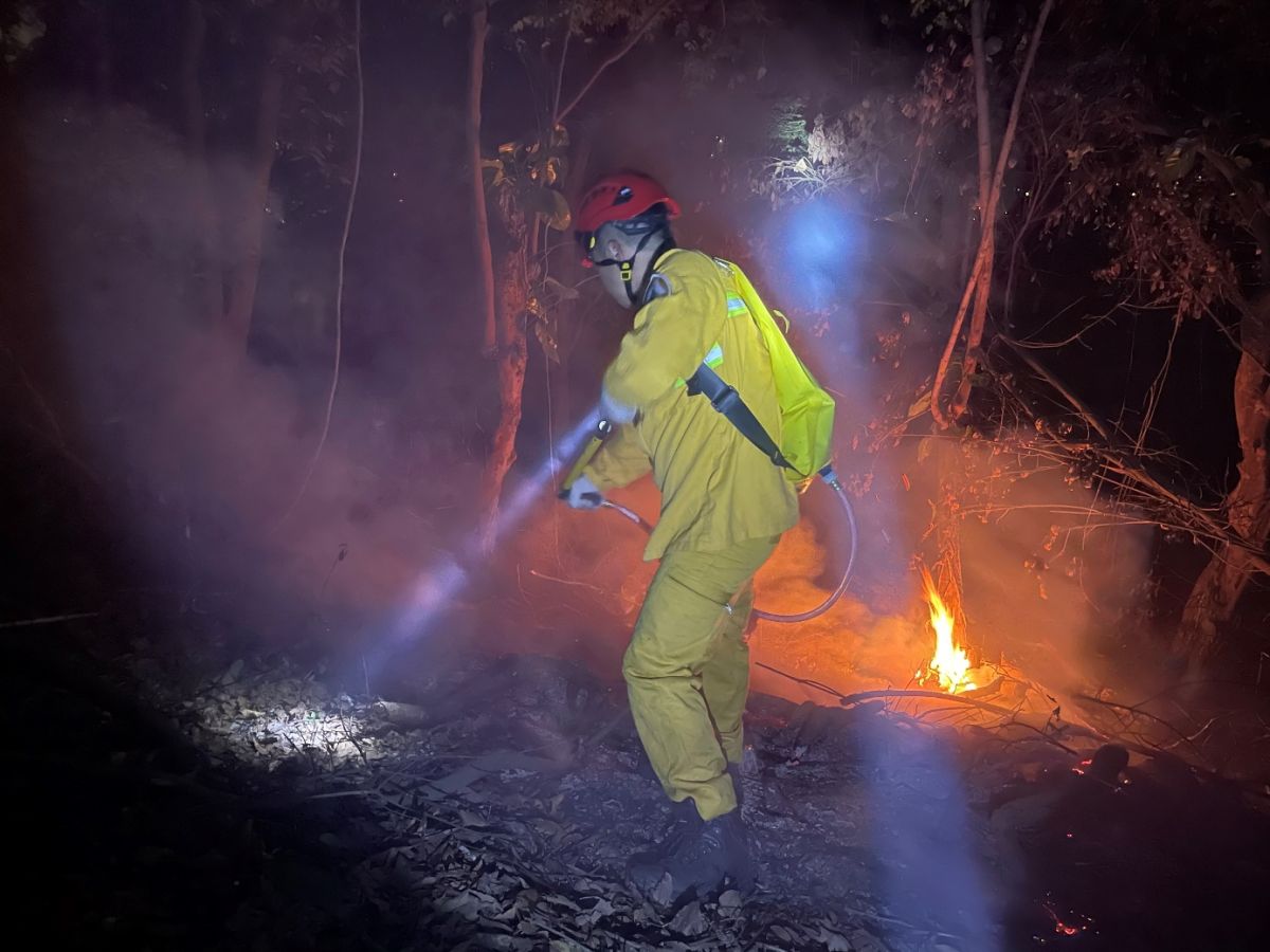▲行政院農業委員會林務局接獲通報，立即動員搶救情形。（圖／林務局提供）