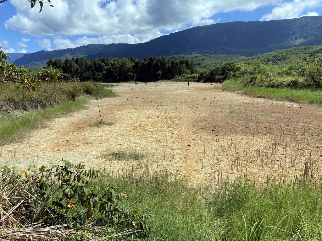 ▲台東強震後改變地景，池上鄉富興村農民發現灌溉井水位下降，甚至抽不到水，20幾公頃水稻田受影響；附近富興溼地地震後水源也一夕消失，只剩一個角落還有些許積水。（民眾提供）中央社記者盧太城台東傳真 111年9月27日