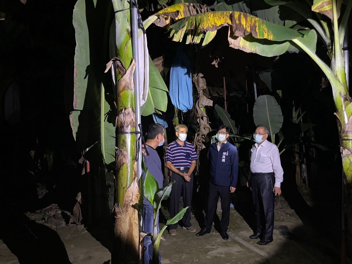 ▲高雄即將進入香蕉產季，高雄市長陳其邁除了每天早上熱線關心香蕉產地情形外，也親自到旗山關心地方狀況。（圖／高雄市農業局提供）