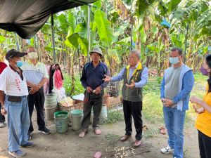 ▲之前傳出蕉價下跌的消息,市長陳其邁第一時間指派農業局局長張清榮到旗山了解狀況。(圖/高市農業局提供) ▲之前傳出蕉價下跌的消息,市長陳其邁第一時間指派農業局局長張清榮到旗山了解狀況。(圖/高市農業局提供)