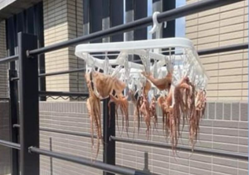 大樓頂爽曬「海鮮」!社區住戶全崩潰 管委會公告卻引戰
