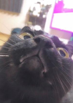 要這麼近看才看得清楚喔!(圖/Twitter:nkknrk) ▲要這麼近看才看得清楚喔!(圖/Twitter:nkknrk)