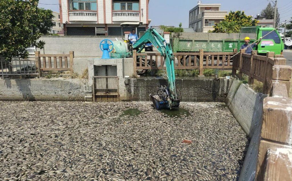 ▲嘉義縣東石鄉永屯村圳溝，今天浮出大批魚群屍體散發惡臭，縣府獲報通知公所清除魚屍，初步研判是氣溫偏高，公共水域水底沼氣上升，水中溶氧降低，造成魚隻缺氧死亡。（圖／中央社）