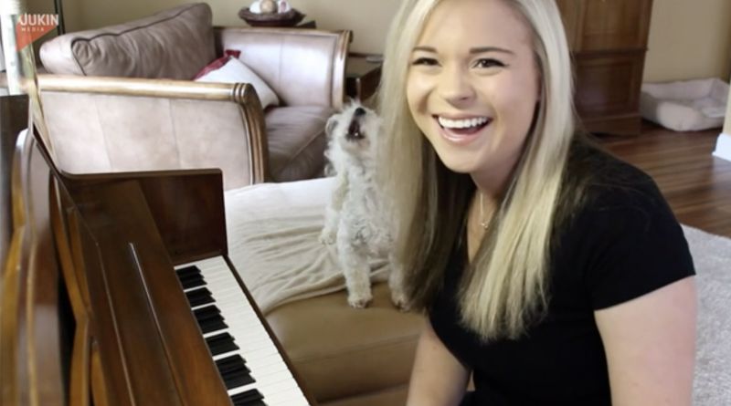 ▲金髮正妹正在邊談鋼琴邊Beatbox，不過愛犬在一旁卻相當不領情，只要一聽到音樂立馬就想打斷。（圖／美聯社／jkne028982）