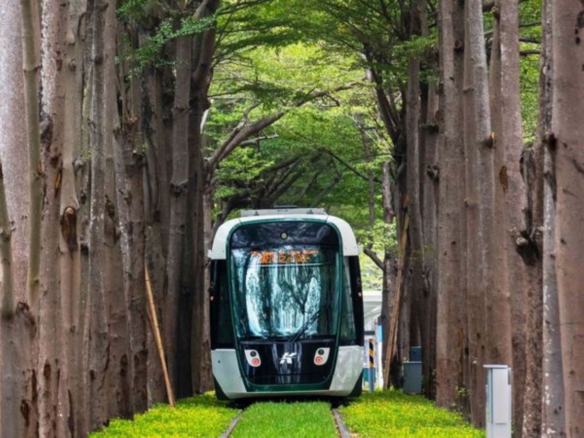 ▲針對藍營多位議員再次將龍貓隧道歸功於韓國瑜及國民黨，陳其邁競選辦公室發言人高閔琳隨即拿出當時議會質詢畫面打臉藍營指出，這樣的說法連龍貓都聽不下去！(圖／高雄捷運提供)