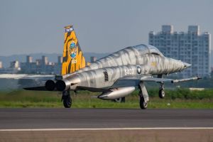 F-5E ▲參加111年國慶空中操演的虎斑塗裝F-5E戰機。(圖/空軍司令部臉書)