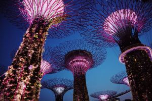 ▲活動期間入住指定客房，並於2022年11月起至2023年1月20日間完成兌換並開票，房客就只要額外另付機場稅、請專人協助劃位即可開啟期待已久的旅行。不僅如此，同行者也能享有票價92折的優惠。此為新加坡必遊景點「天空樹Supertree Grove」。