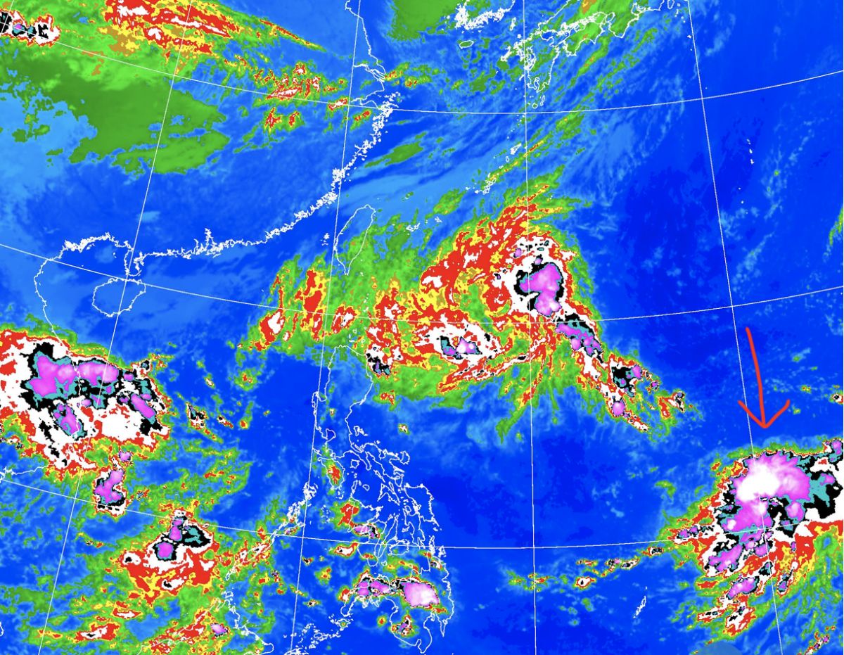 ▲目前在大低壓帶中有熱帶擾動（紅色箭頭處）正在醞釀，短期內一旦生成颱風，路徑很可能穿越巴士海峽，恐成為「秋颱」與東北季風產生共伴效應，北台灣要嚴防豪雨威脅。（圖／翻攝中央氣象局官網）