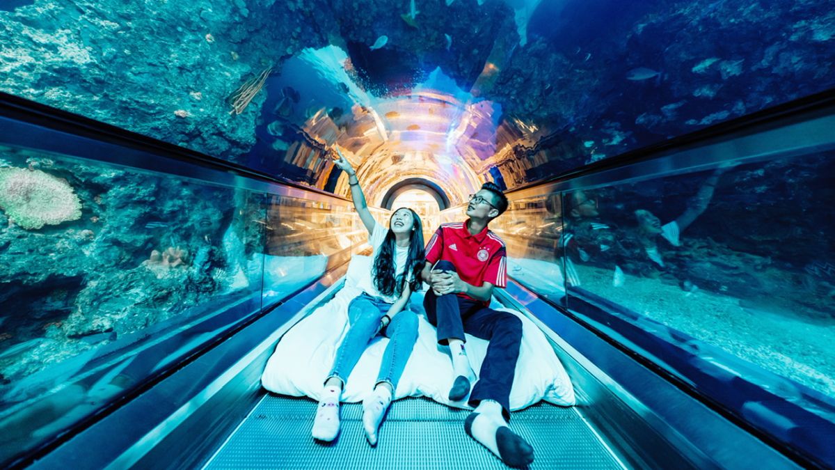 ▲夜宿海生館活動讓更多人看見海洋生態的不同面貌。（圖／屏東海生館提供）