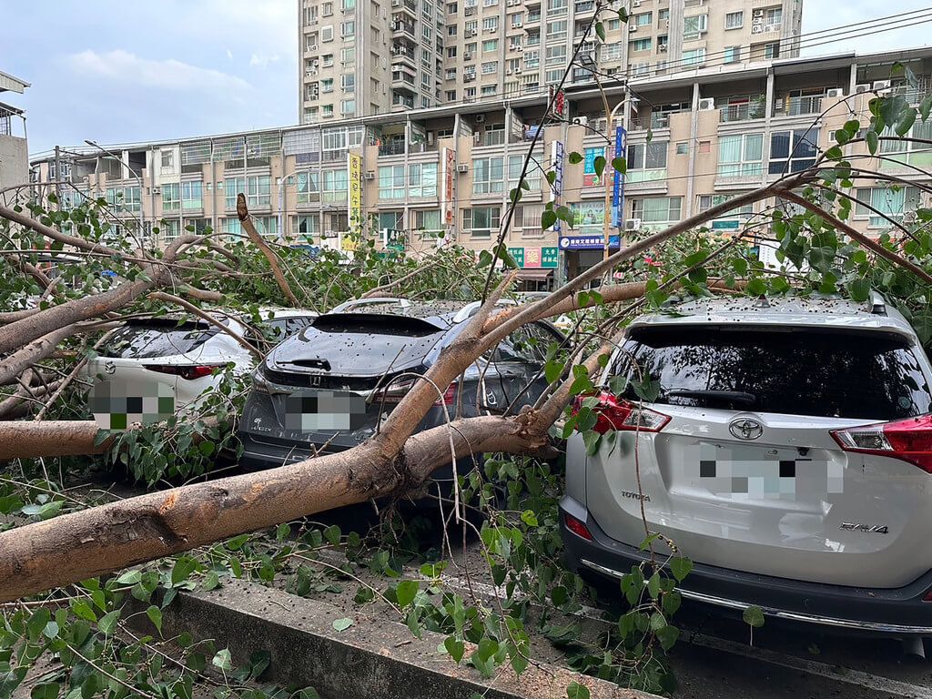 ▲高雄市無風無雨，楠梓區樂群路與加宏路口兒童公園旁一棵菩提樹粗大枝幹，今天下午無預警斷裂掉落，壓損周邊5輛汽車。（圖／翻攝畫面）