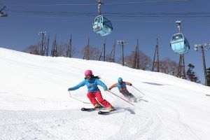 ▲雄獅推出日本滑雪到行程，已有超過600人搶先預定。（圖／雄獅提供）