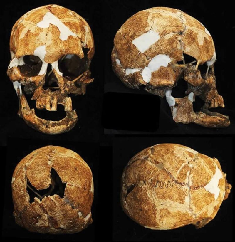 6000年前骨骸給答案　研究：台東「黑矮人」可能真存在
