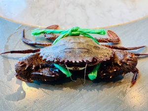 秋天吃螃蟹「萬里蟹」怎麼吃最對味?1篇看懂花蟹等7品種 ▲「石蟳」蟹殼堅硬,表面觸感粗糙摸得到顆粒狀,明顯個頭偏小。(圖/記者蕭涵云攝)