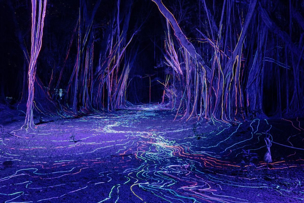 ▲位於台南的隆田生態文化園區，大隆田展區有藝術家辛綺作品《沉水流光》。（圖／台南市文化局、宜東文化提供）