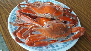 ▲秋蟹季正式開始，台灣海域捕撈的萬里蟹供貨、價格穩定。（圖／螃蟹達人蟹購網授權）