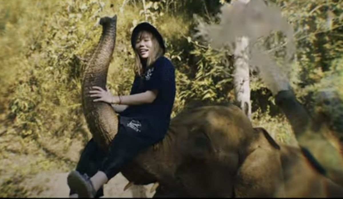 ▲Amber和男友體驗一天象伕的生活。（圖／翻攝自影片）
