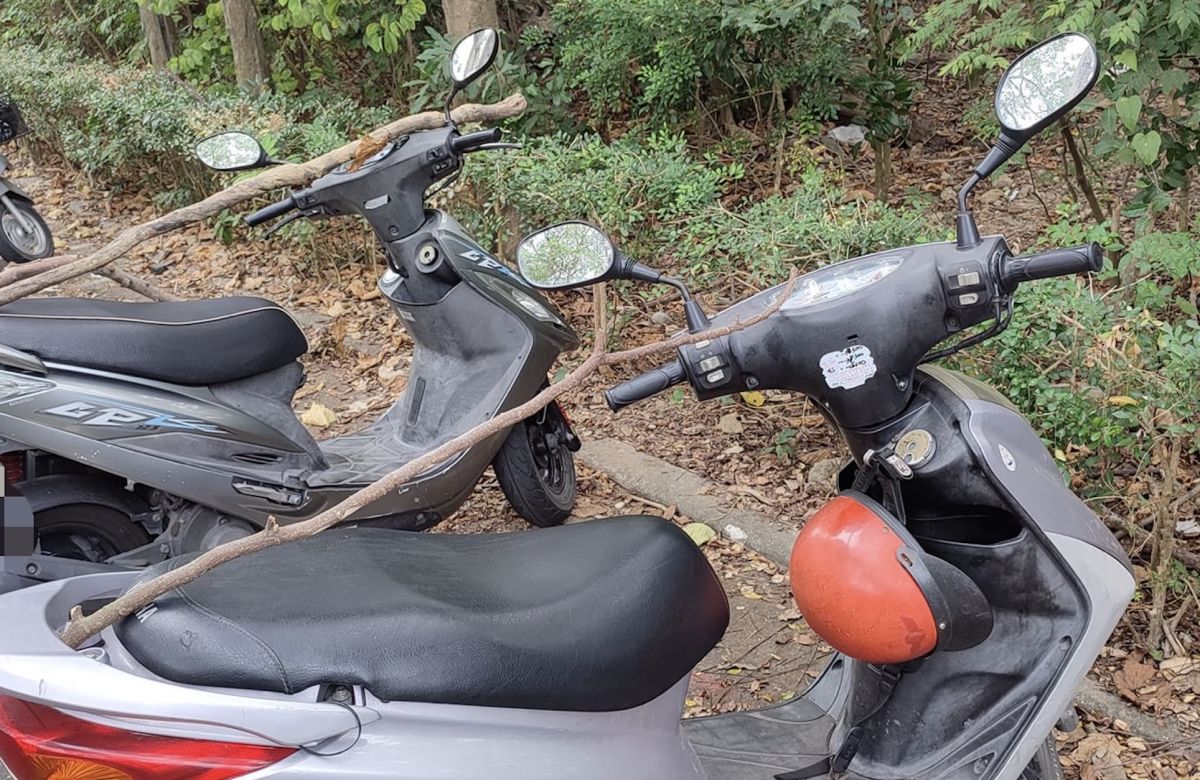 ▲一名網友貼出照片，只見畫面中為兩台機車，上頭死死卡著一根粗樹枝，他表示這只有高雄人才懂。（圖／翻攝自路上觀察學院）