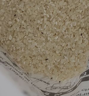 ▲原PO抱怨買回來的大包裝米裡全是米蟲。（圖／臉書社團《Costco好市多 商品經驗老實說》）