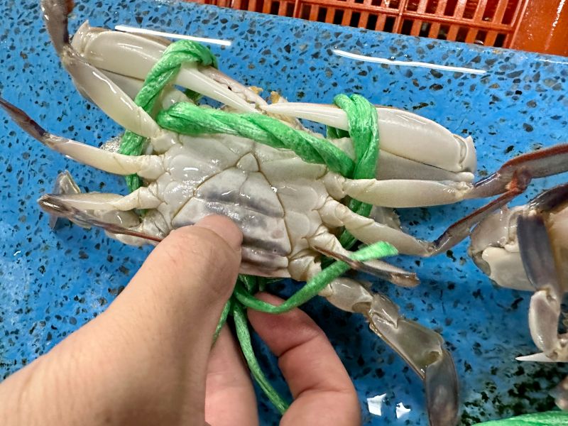 ▲要如何選擇肥美的螃蟹，只要輕壓螃蟹肚子，壓起來堅實，肉質相對飽滿。（圖／記者周淑萍攝）